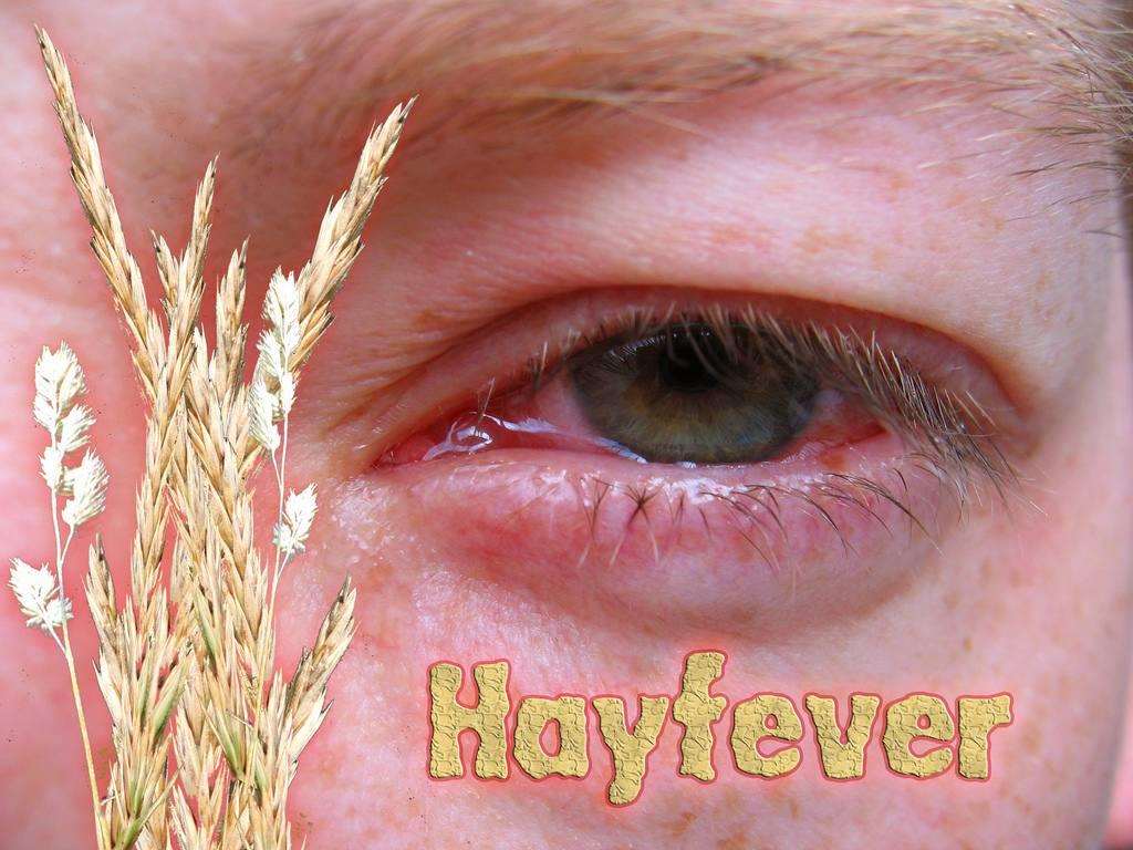 2595424945 152d851e4b b