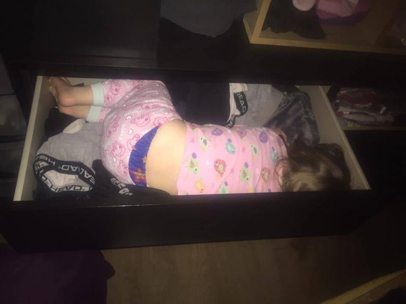 13600319 10156977225300417 2000833822423713429 n