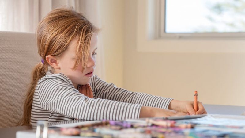 3ebeebbf 22cd 4730 b703 13d0aad6a7ea