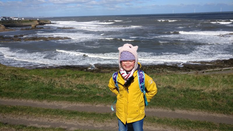 12d956a4 a219 46f8 8025 495bf674c137.jpg