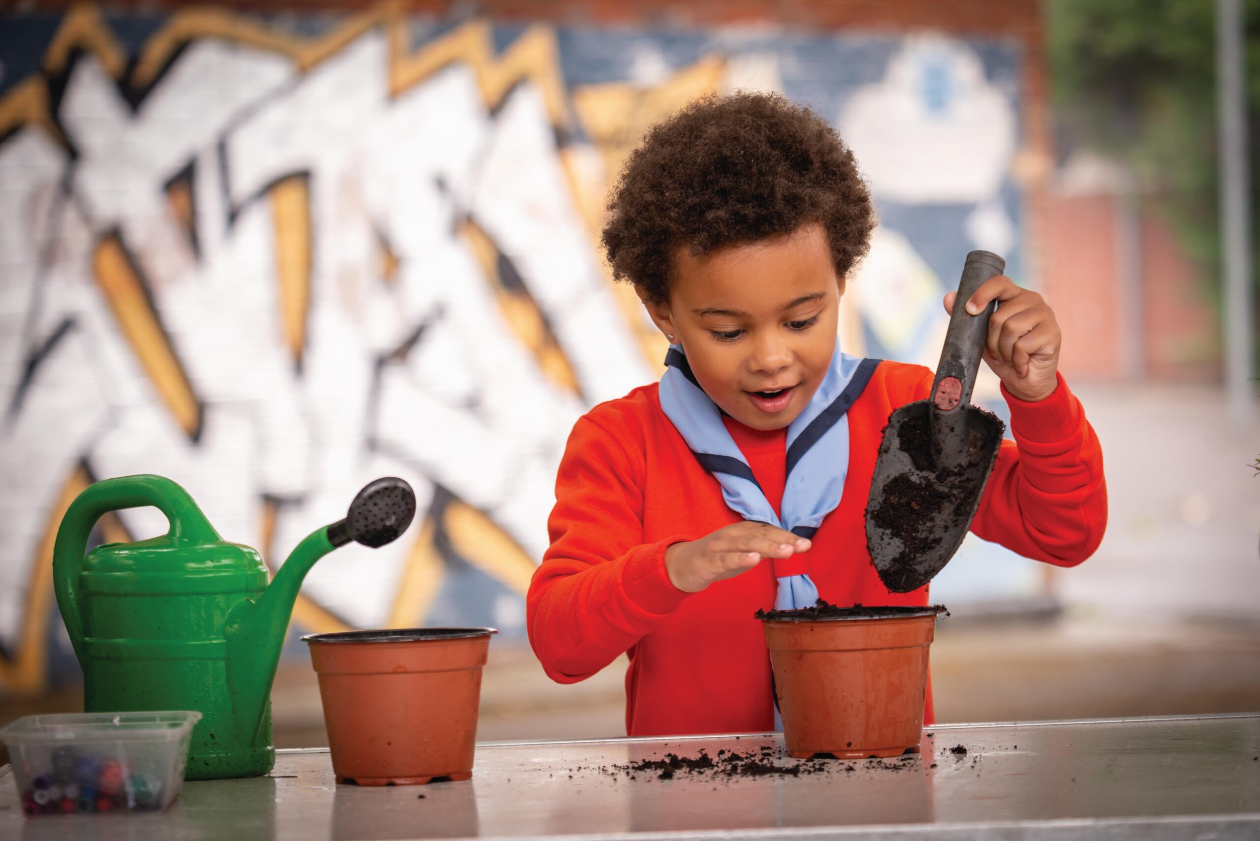 630cb112 2406 4fd3 8cec 4bbdf2f5b14c.jpg