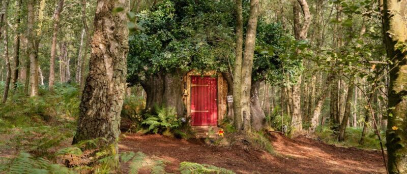 A house fit for Disney’s Winnie the Pooh in the original Hundred Acre Wood
