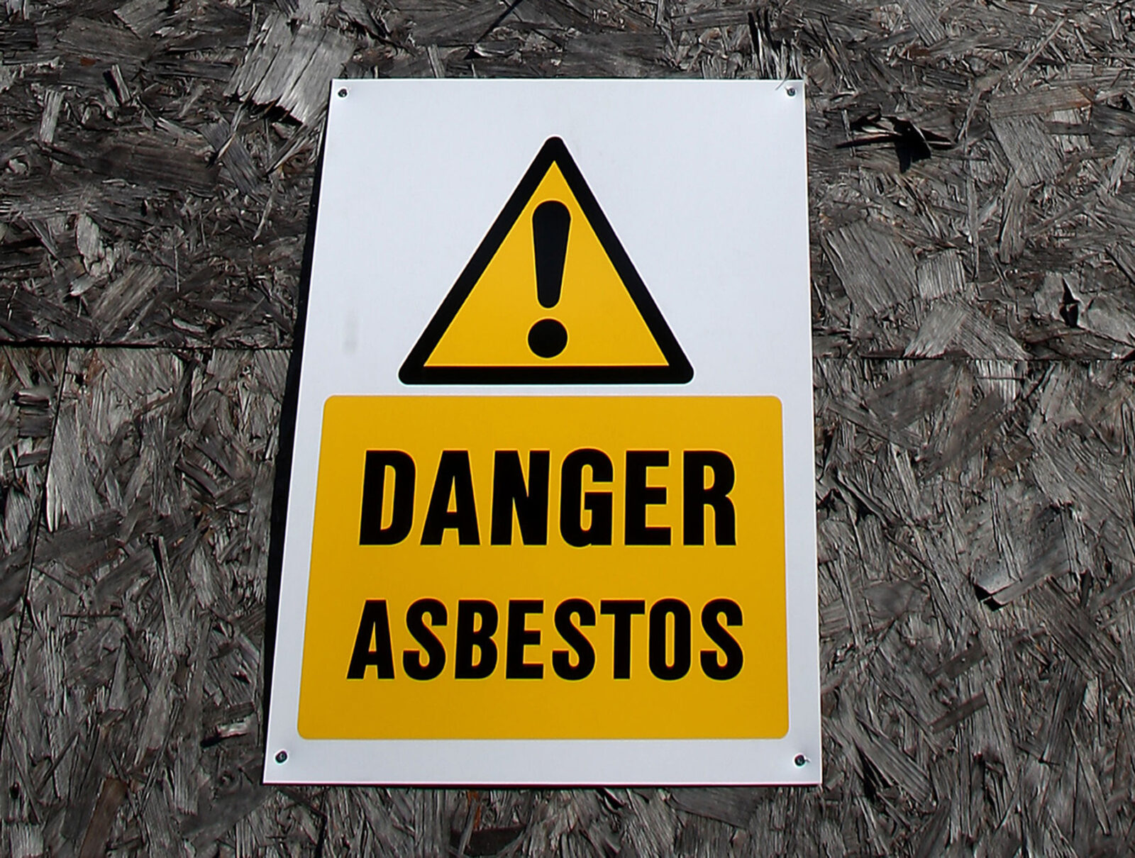 Asbestos fear study