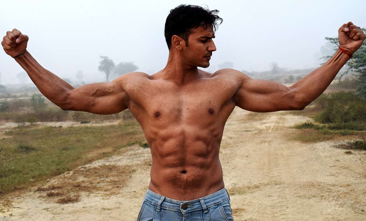 Biceps 2945912 1280